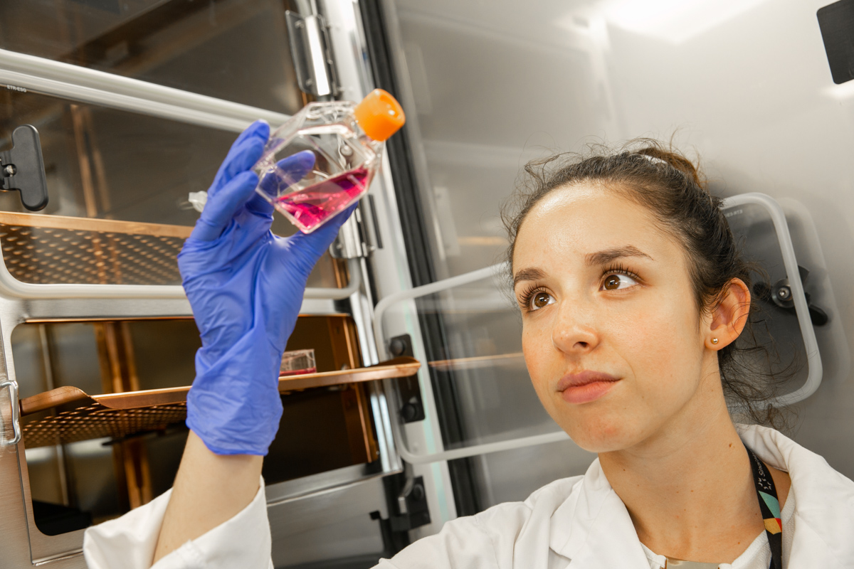 Lab staff grow cells to allow for extraction of DNA from the cells of interest. 