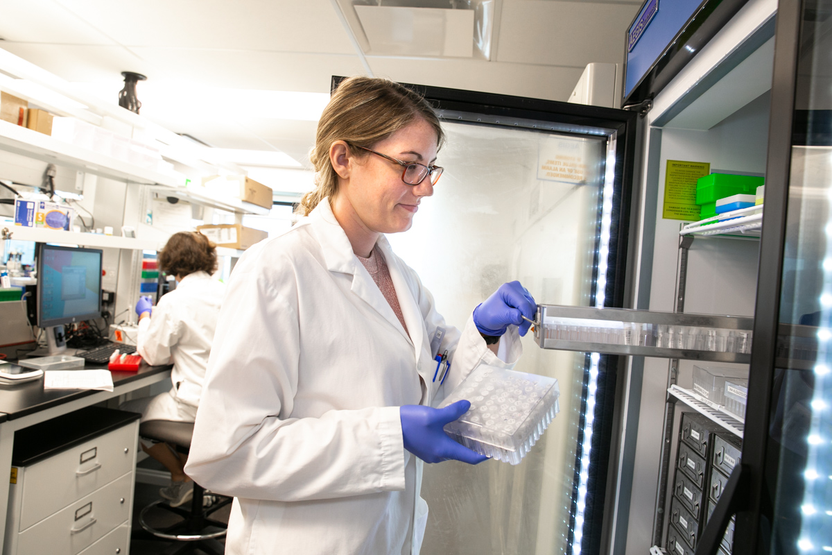 A technique called Polymerase Chain Reaction is done to amplify DNA from a small sample so there is sufficient amount for analysis.