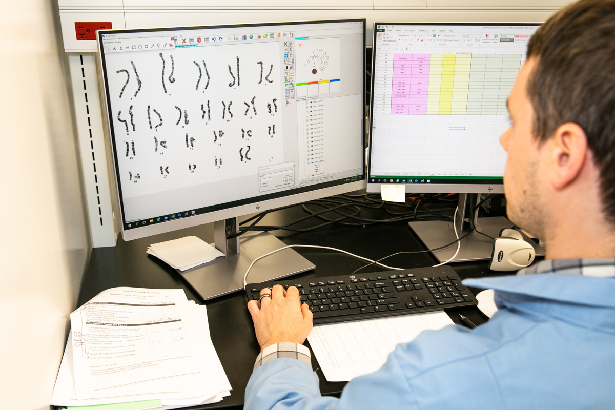 Analysis of patients’ DNA informs diagnoses in individuals with infertility, for fetal health and development, pregnancy losses, and cancer. 