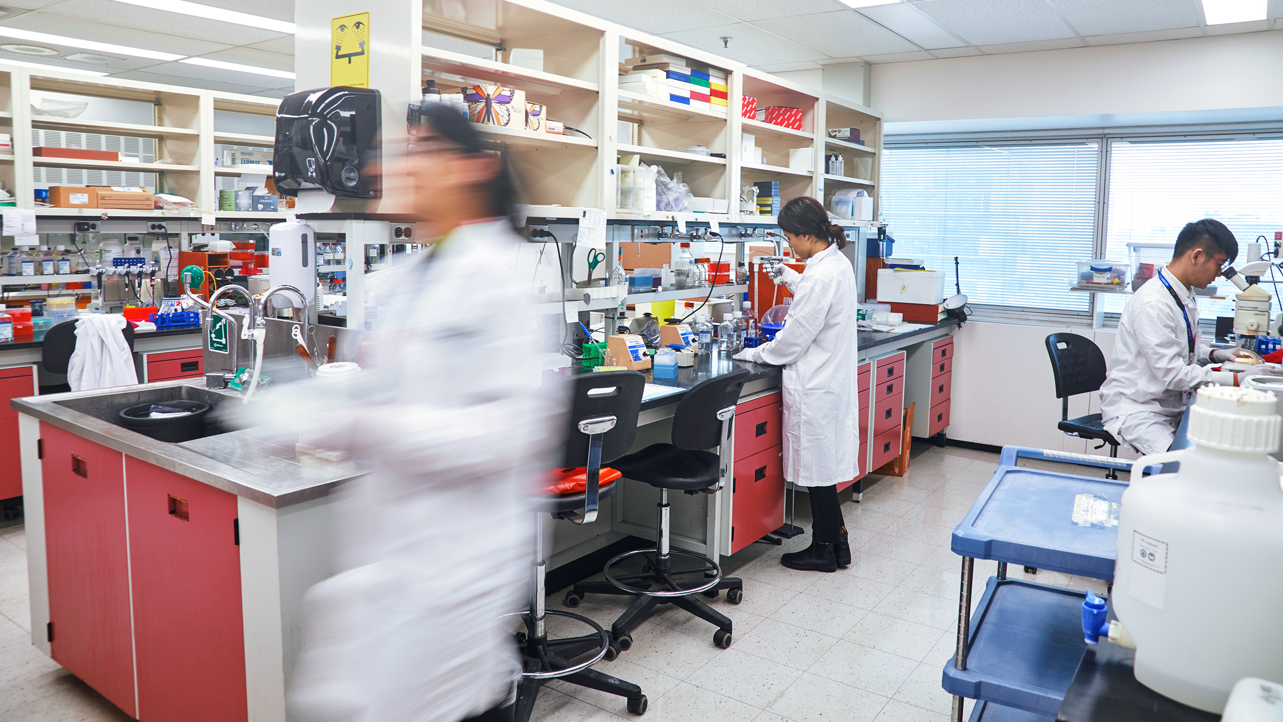 Three researchers in a busy lab