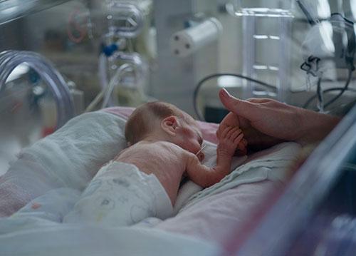 Small baby in incubator holding a hand.