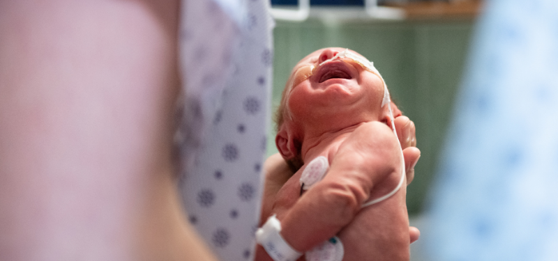 Newborn baby being held in someone's hands 