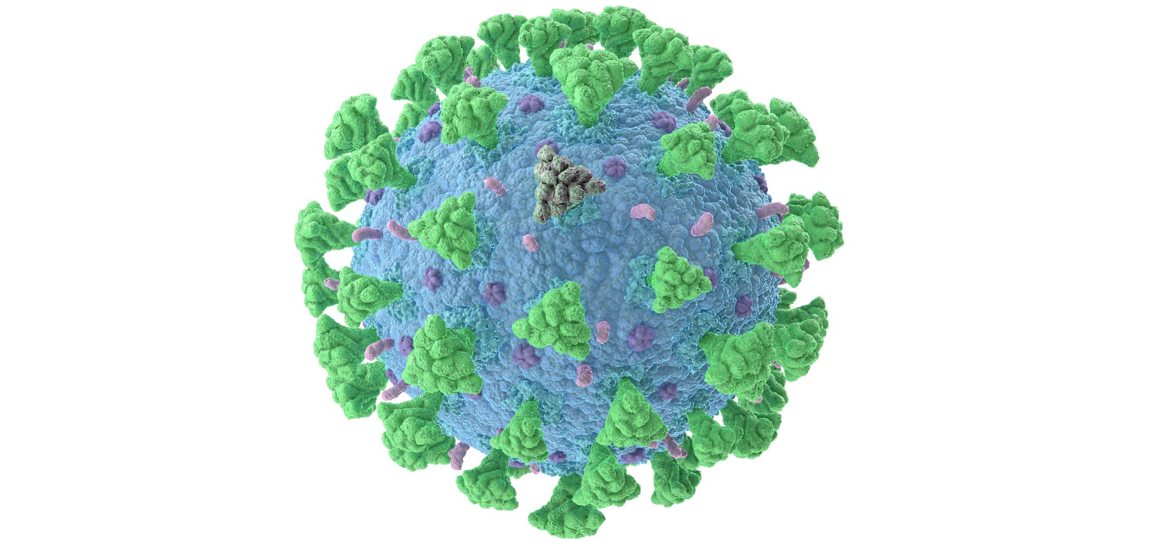 rendering of virus