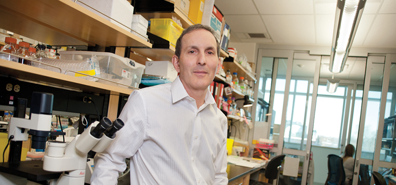 Dr. Daniel Drucker in his laboratory 