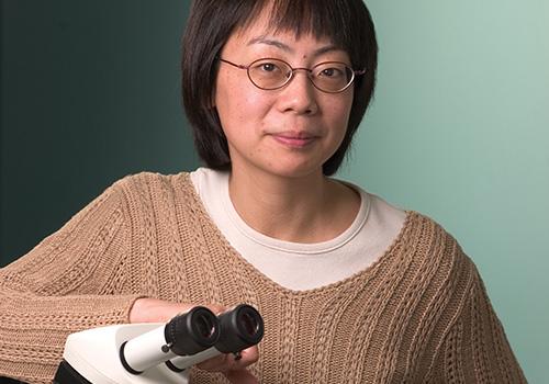 Dr. Mei Zhen