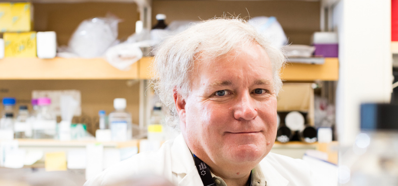 A headshot of Jeff Wrana, the study lead who will be looking into identifying therapeutics that target a key mechanism in tumour growth