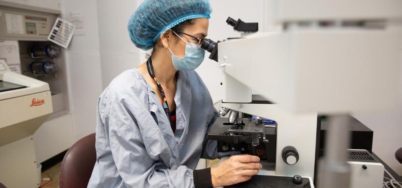 Dr. Elizabeth Demicco looks into the ocular lenses of a microscope.