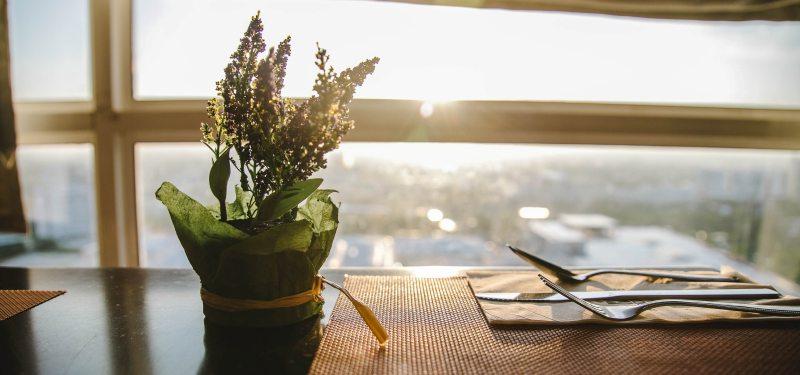 Plant on a dining table with cutlery