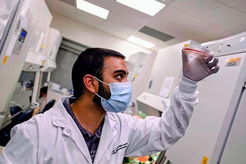 Medium close image of man wearing white lab coat and mask and gloves, looking up at the petri dish he holds up in front of him.