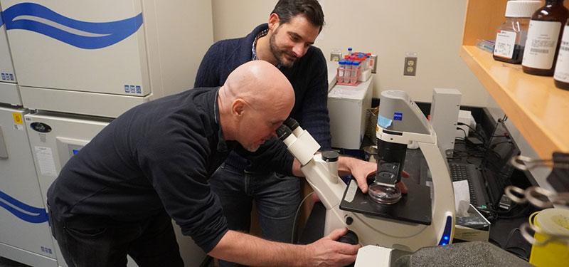 Sinai Health researchers awarded grant to fight vision loss