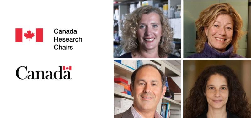 Sinai Health’s 2019 Canada Research Chairs