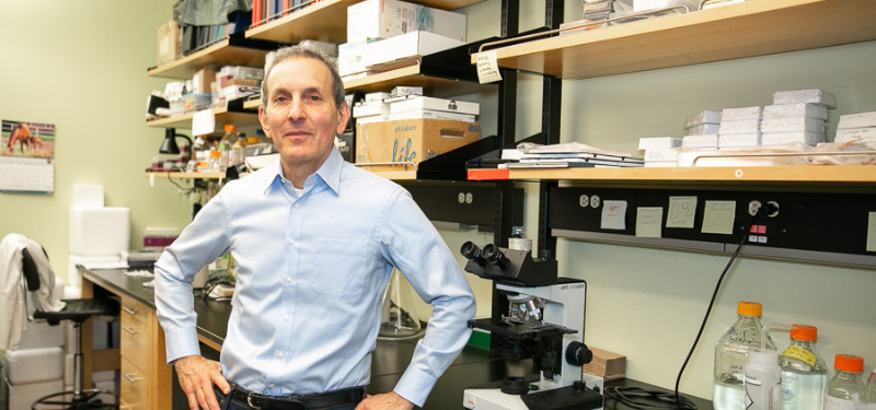 Dr. Daniel Drucker in a blue dress shirt standing in a lab. 