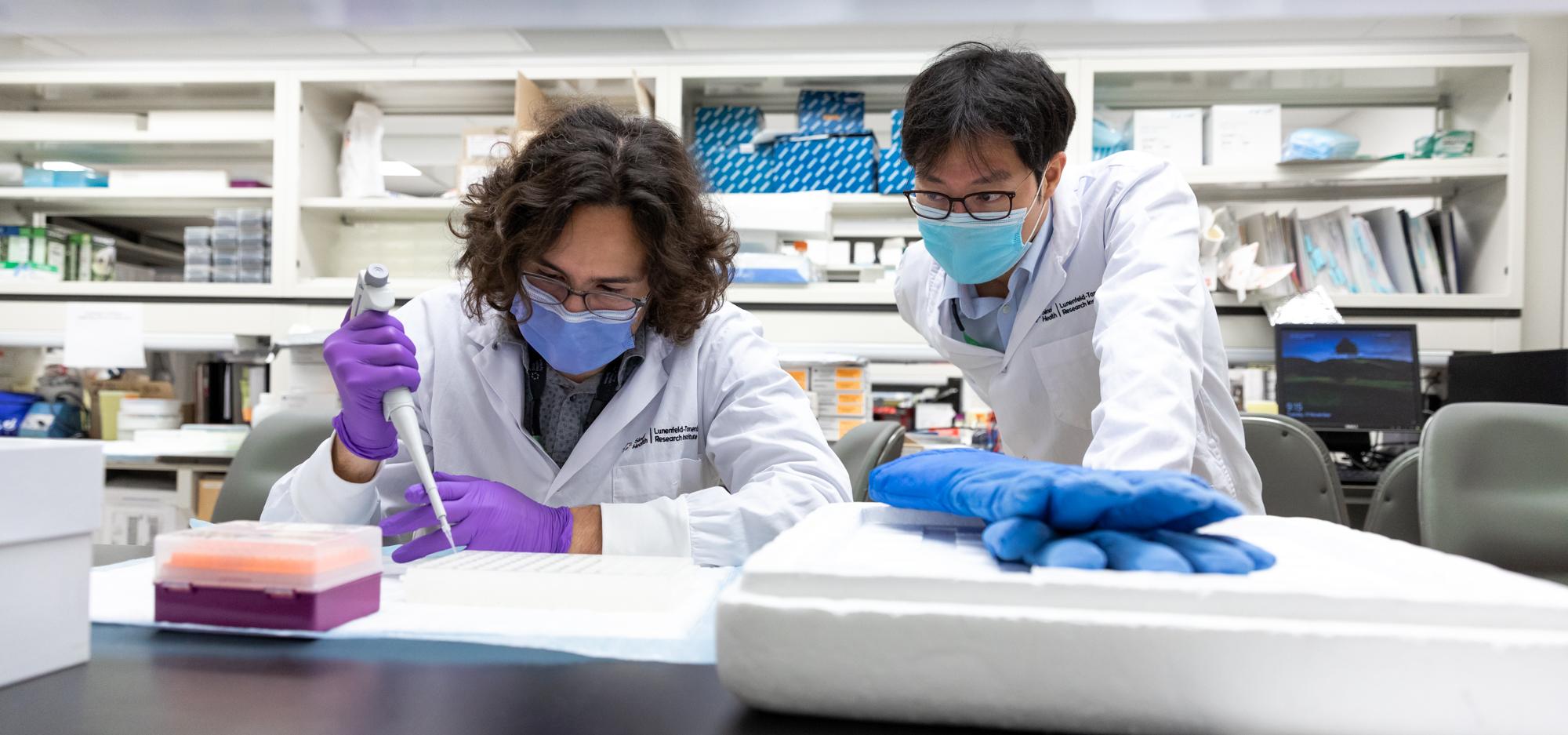 Two scientists working on a project