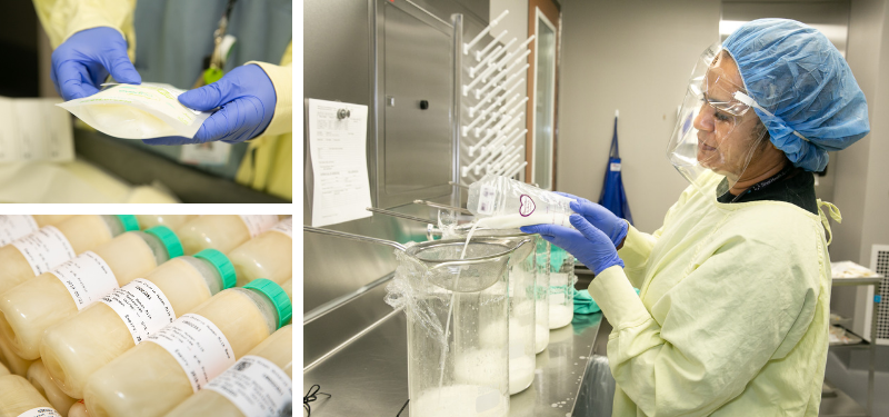 Milk Bank staff member transferring donated milk.