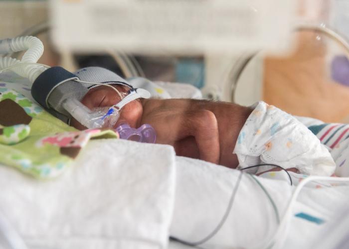 preemie baby lying in an incubator