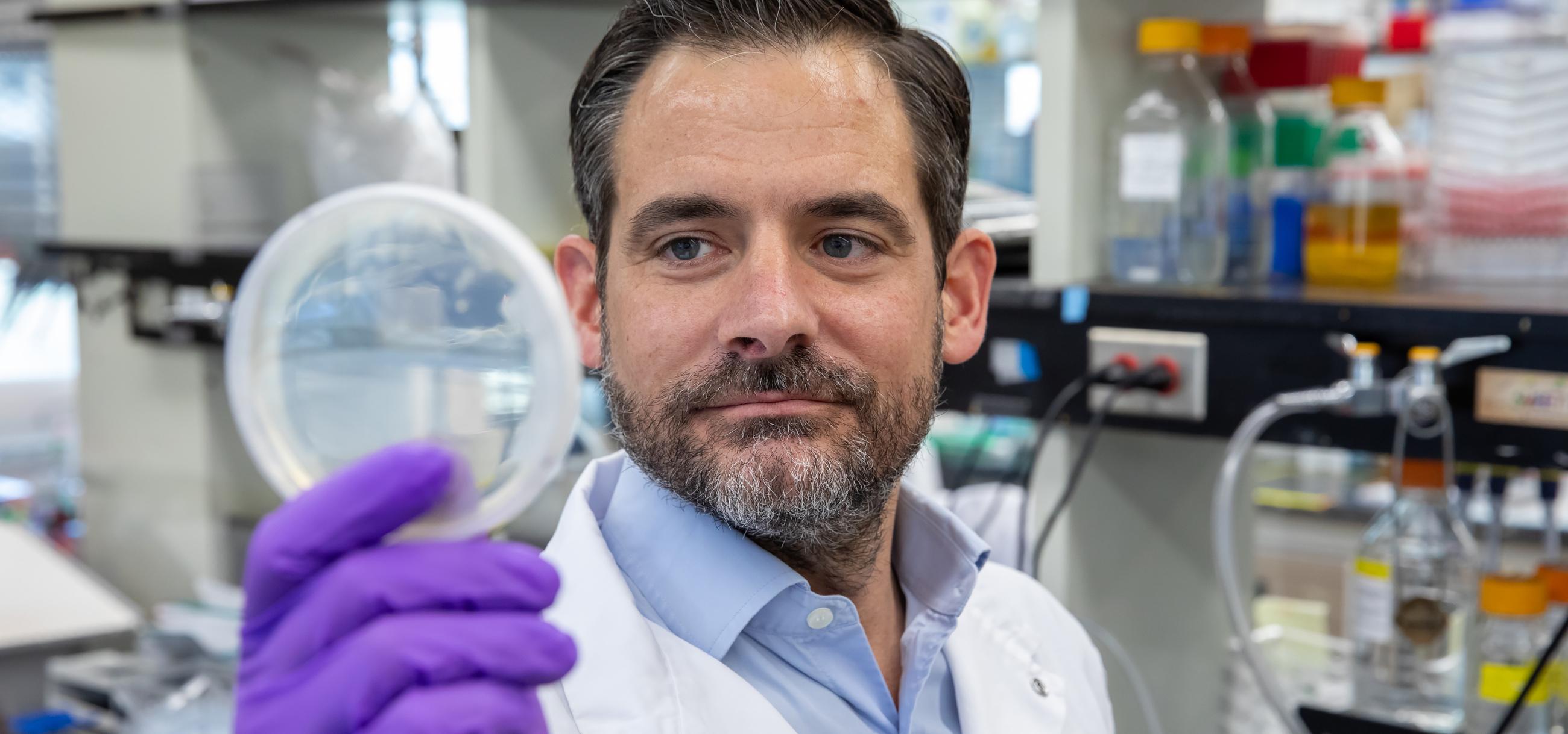 Dr. Daniel Schramek looking at a petri dish