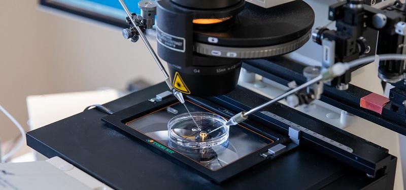 A photo of a microscope looking into a petri dish.