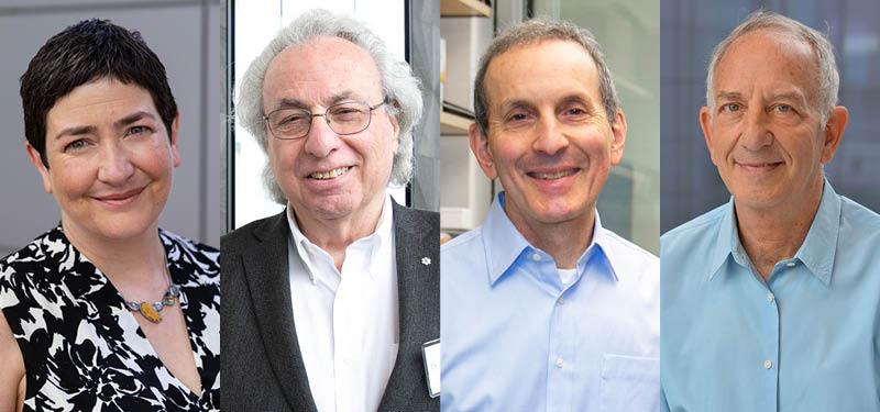 Collage of Sinai Health researchers who have been have been named among the top cited globally