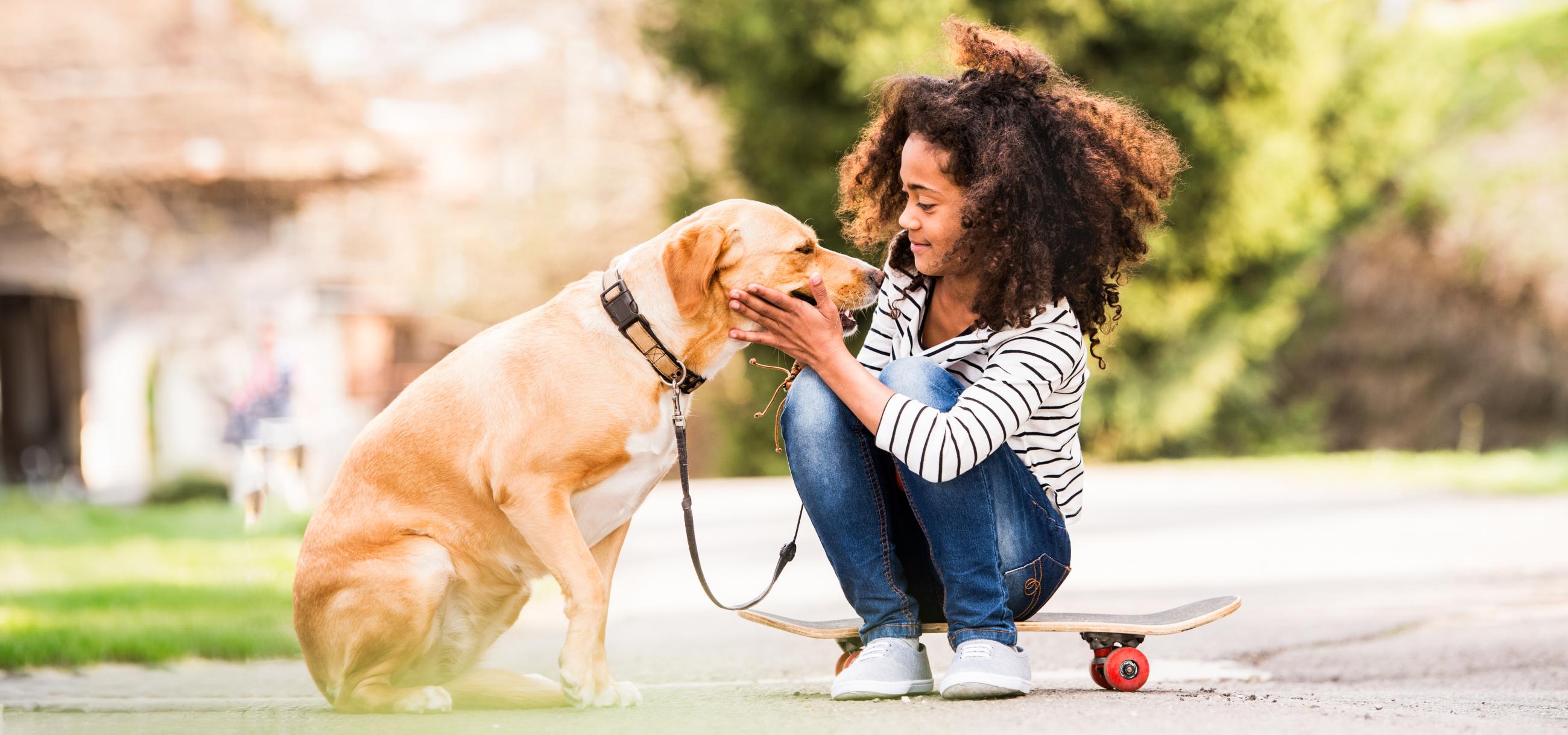 young girl petting dog