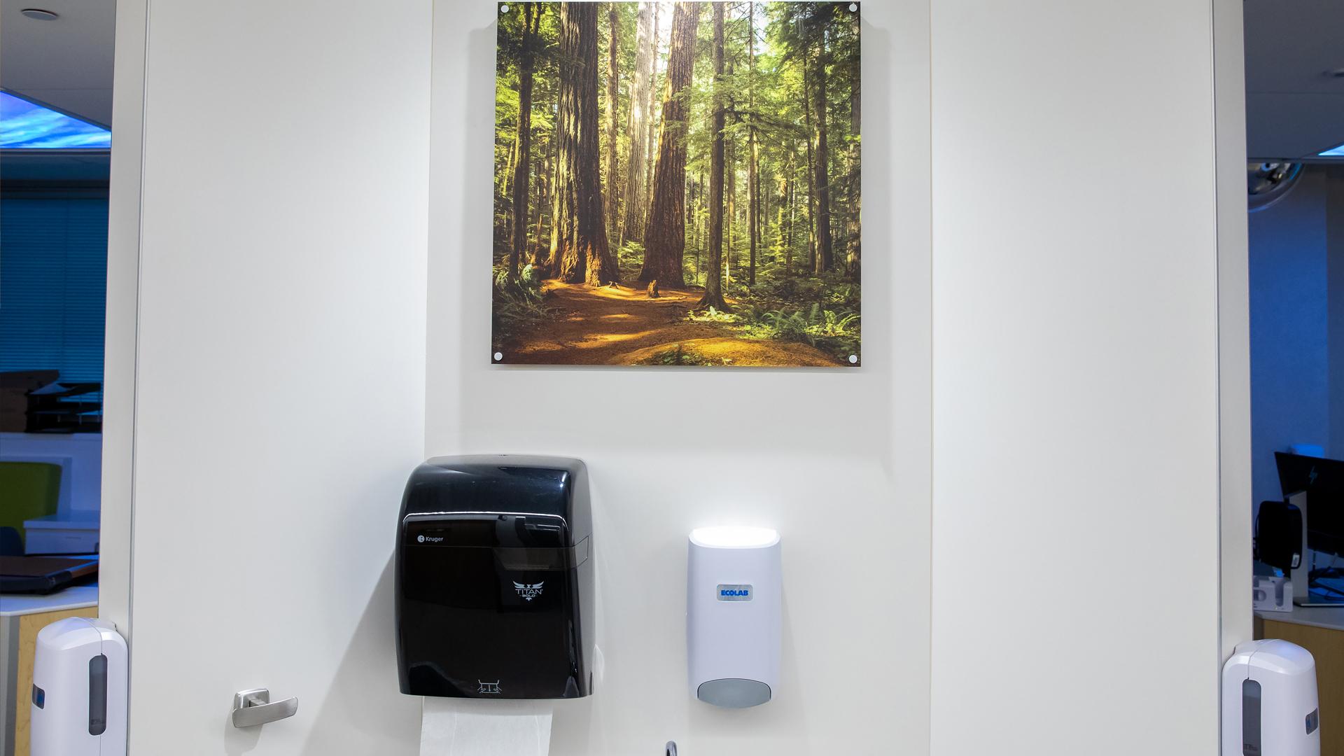 A photograph of tall, ancient trees in Stanley Park, BC hangs in the patient treatment area of Sinai Health’s Cancer Care Clinic.