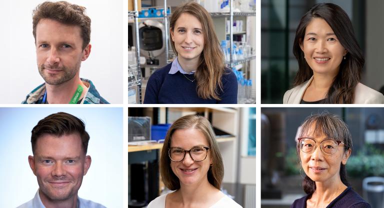 Collage of Drs. Kieran Campbell, Diane Haakonsen, Rayjean Hung, Hartland Jackson, Katherine Stewart and Mei Zhen.