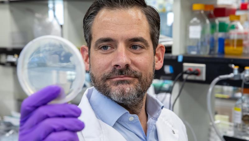 Dr. Daniel Schramek looking at a petri dish