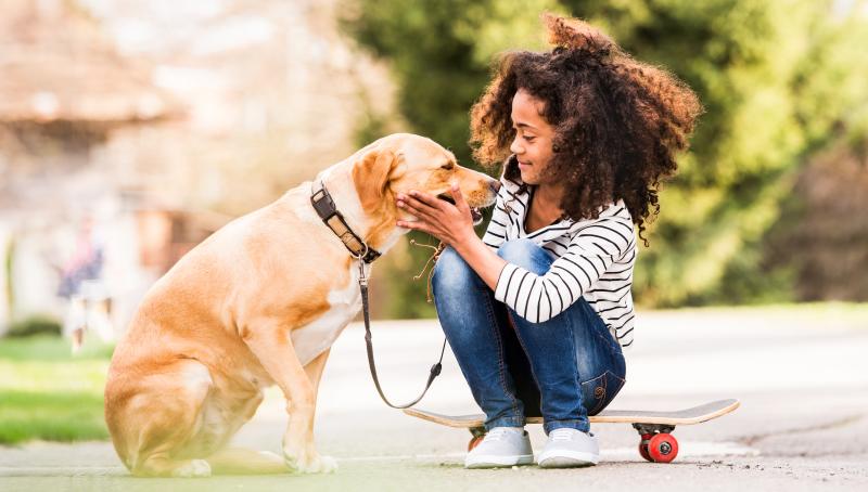 young girl petting dog