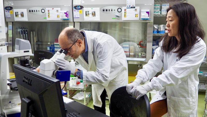 A male scientist looking down the microscope with a female scientist observing the image on computer screen.