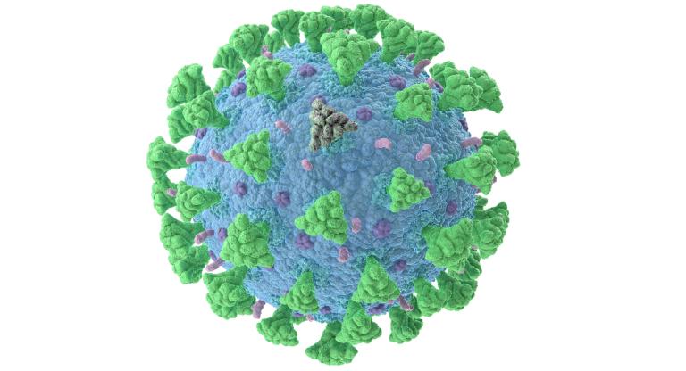 rendering of virus