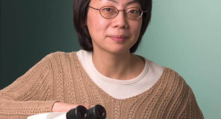 Dr. Mei Zhen