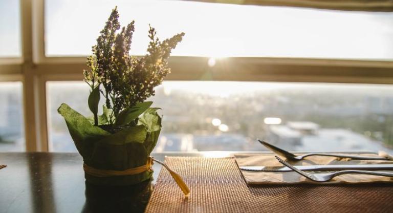 Plant on a dining table with cutlery