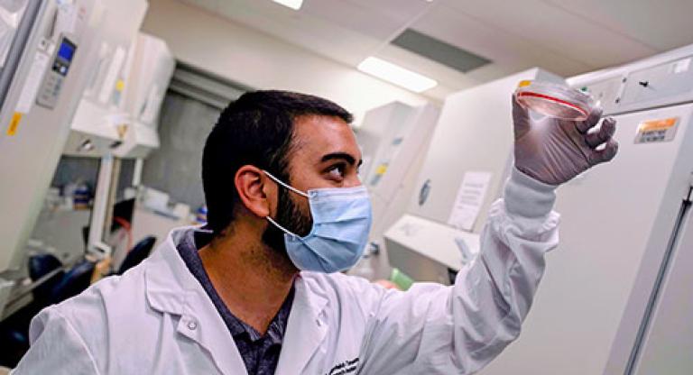 Medium close image of man wearing white lab coat and mask and gloves, looking up at the petri dish he holds up in front of him.