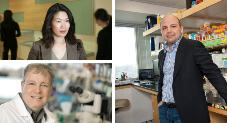 Sinai researchers: Dr. Daniel Durocher, Dr. Rayjean Hung, Dr. Jeff Wrana