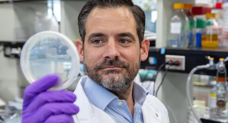 Dr. Daniel Schramek looking at a petri dish