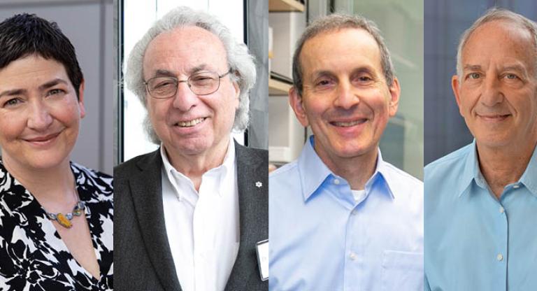 Collage of Sinai Health researchers who have been have been named among the top cited globally