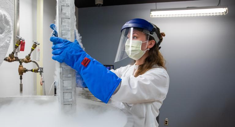 Researcher wearing protective gear pulling dry ice out of a large storage container