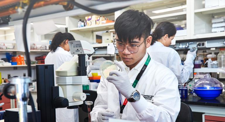 Researcher in a laboratory looking at a petri dish